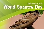 The day of the sparrow